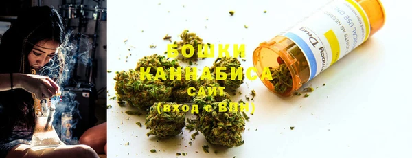 шишки Белоозёрский