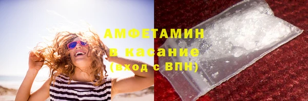 шишки Белоозёрский