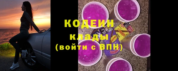 шишки Белоозёрский