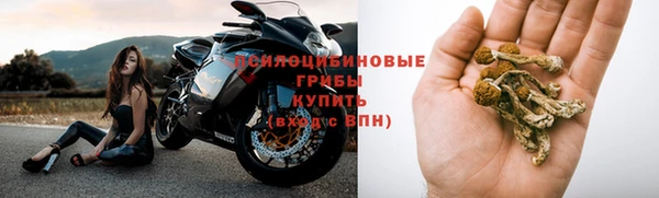 ALPHA-PVP Белокуриха
