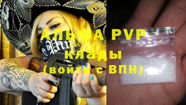 шишки Белоозёрский