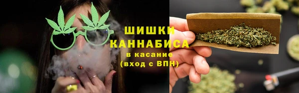 шишки Белоозёрский