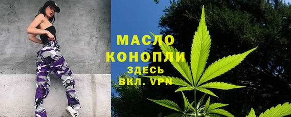 шишки Белоозёрский