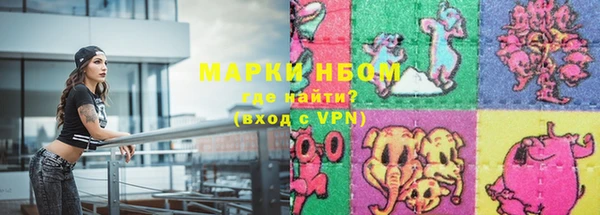 шишки Белоозёрский