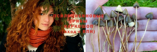 стафф Беломорск