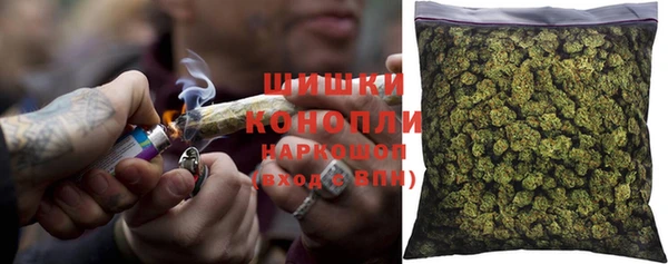 шишки Белоозёрский
