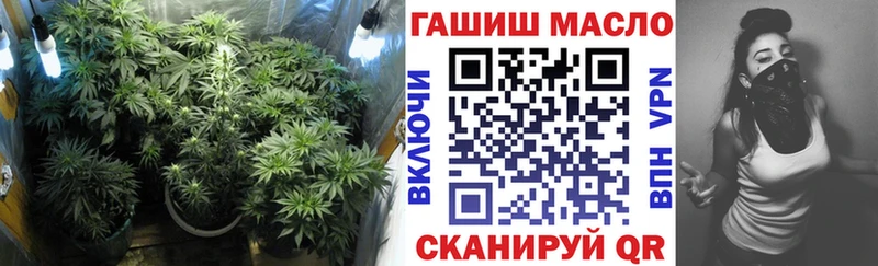 ТГК вейп  Купить  Городовиковск 
