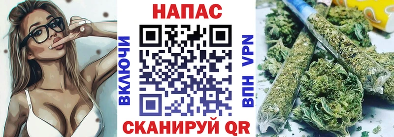 Бошки Шишки планчик  Купить где  Городовиковск 